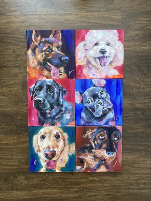 The Dachshund collection view