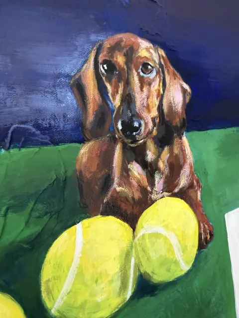 Hard Court Season detail image